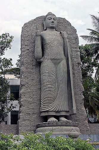 SriLan (21)